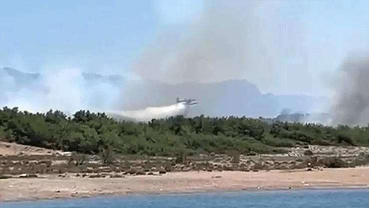 Antalyan N Manavgat Il Esinde Orman Yang N G Ndem Haberleri