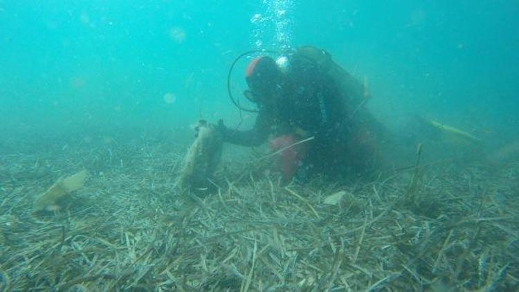 Bodrum Da Temizleme Al Malar S Ras Nda Denizden Kilo At K Kt