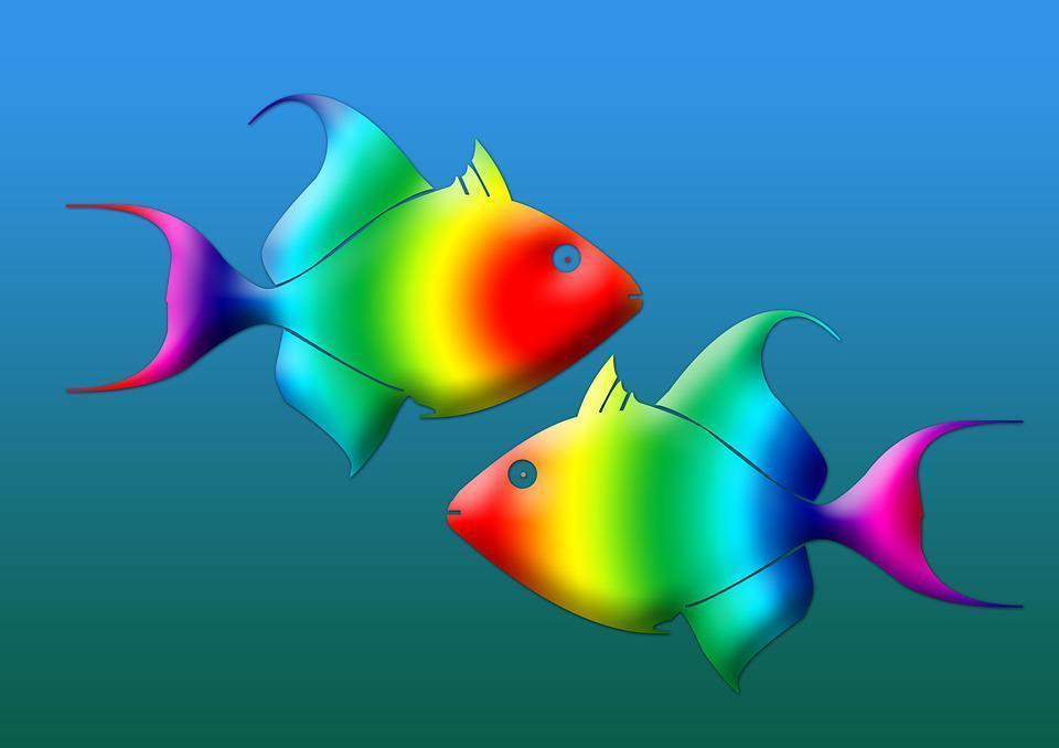 Balık burcunda Dolunay: Duygu ve mantık ikilemi