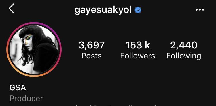 Bir Instagram hesabının anatomisi: Gaye Su Akyol