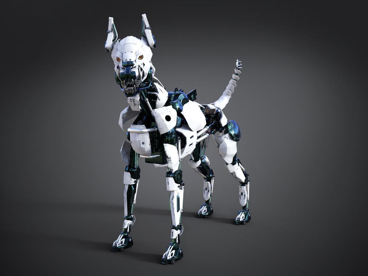 Eveet dersimiz “robot köpekler” ya da “köpek robotlar”