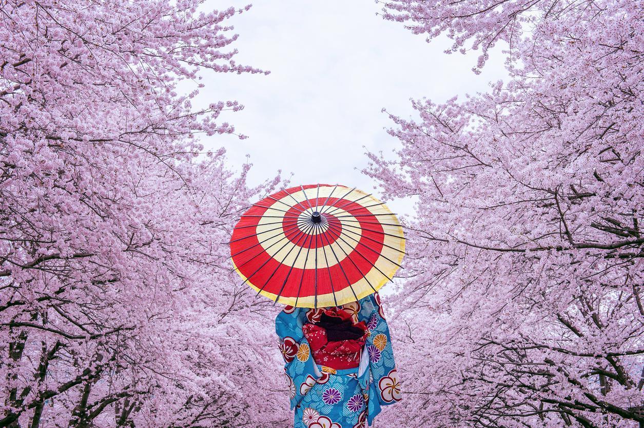 Kültür ve gelenekleriyle Japonya