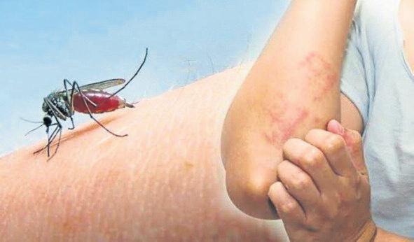 Sivrisinek küçük ama etkisi maşallah büyük
