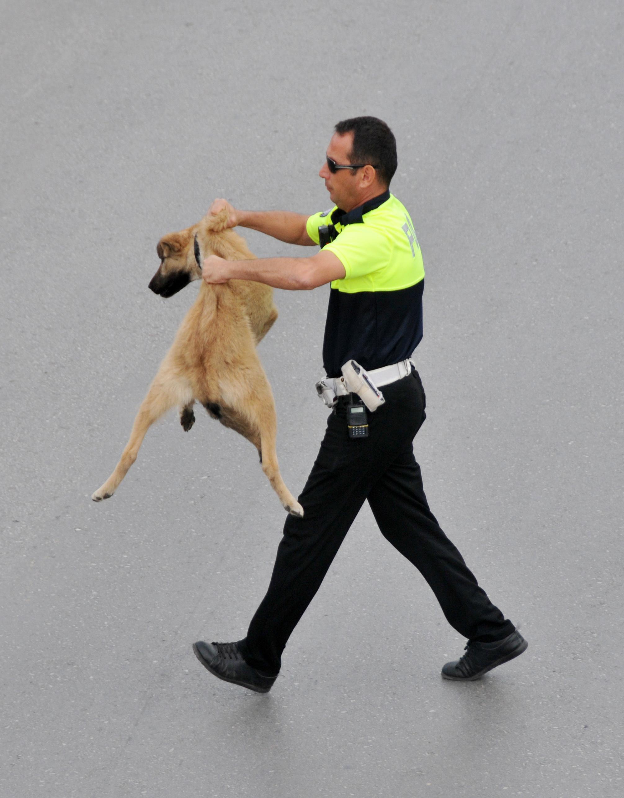 Köpeği yolun karşısına geçirdi, ’Ayın Polisi’ seçildi