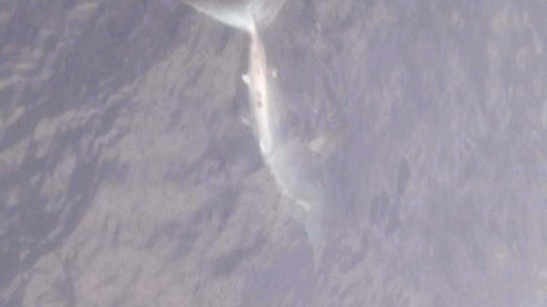 Marmaris açıklarında görülen köpek balığı şaşkınlık yarattı