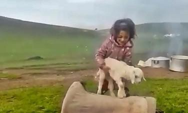 Küçük kız şarkı söyledi, keçi yavrusu dans etti