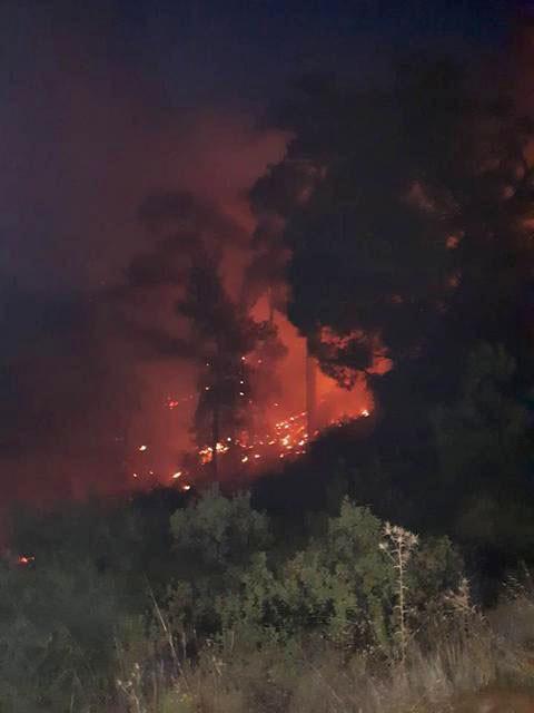 Güney Kıbrısta çıkan yangın KKTCyi alarma geçirdi