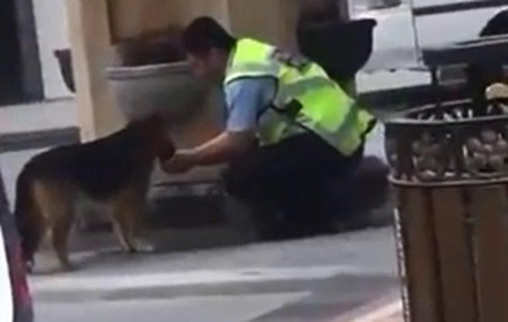 Köpeğe avucundan su içiren polise ödül