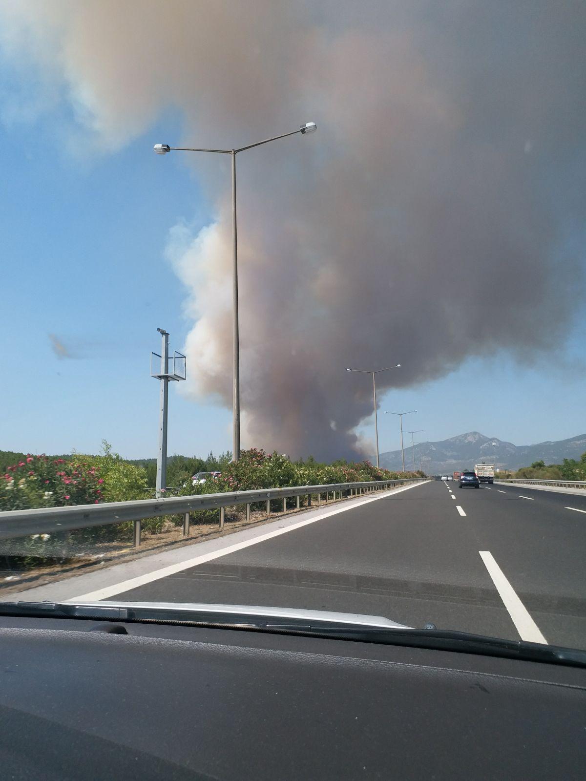 İzmir Bucada orman yangını