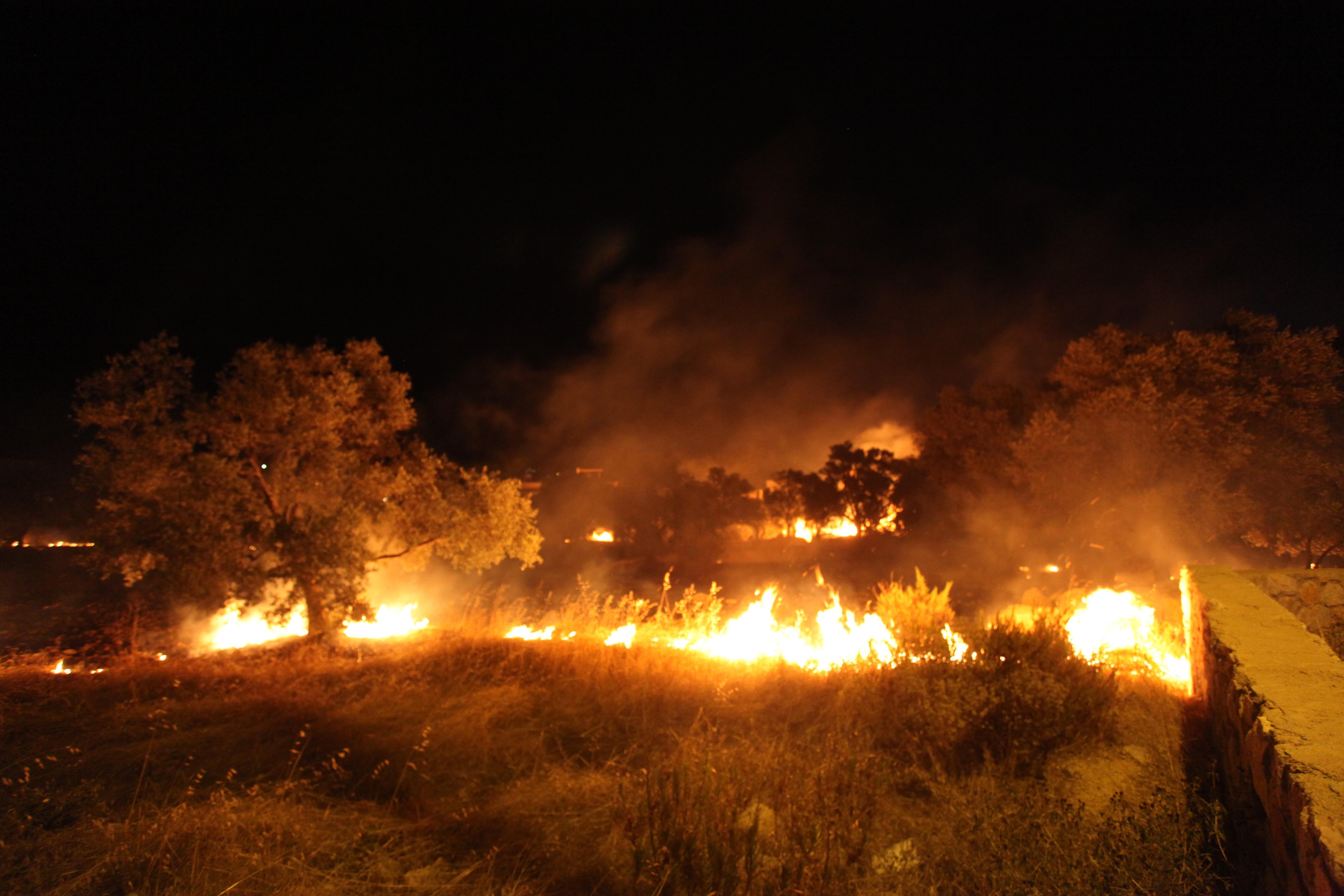 Bodrumda tarım arazisinde yangın