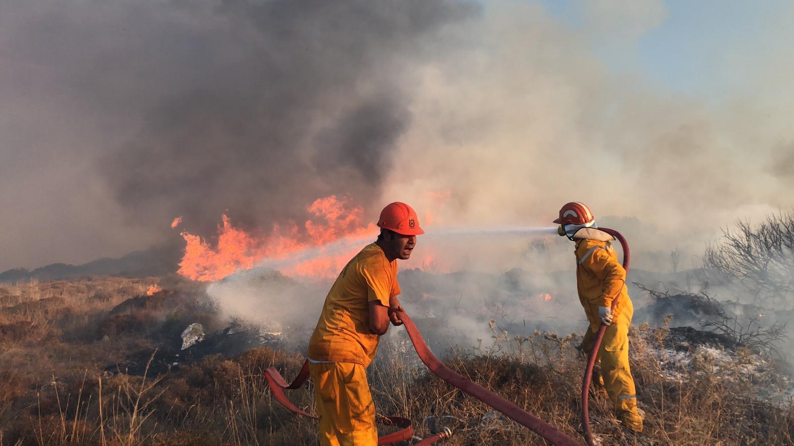 Bodrumda çıkan yangında 40 hektarlık alan kül oldu