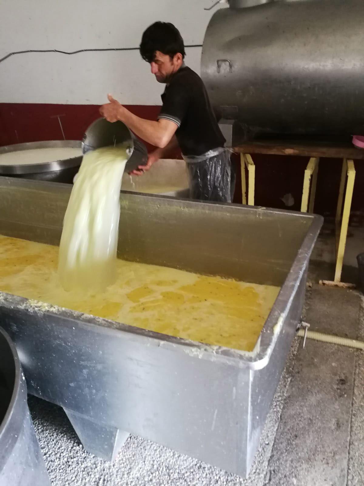 Erzurumda kaşar peyniri imalathanesinde iğrenç görüntü