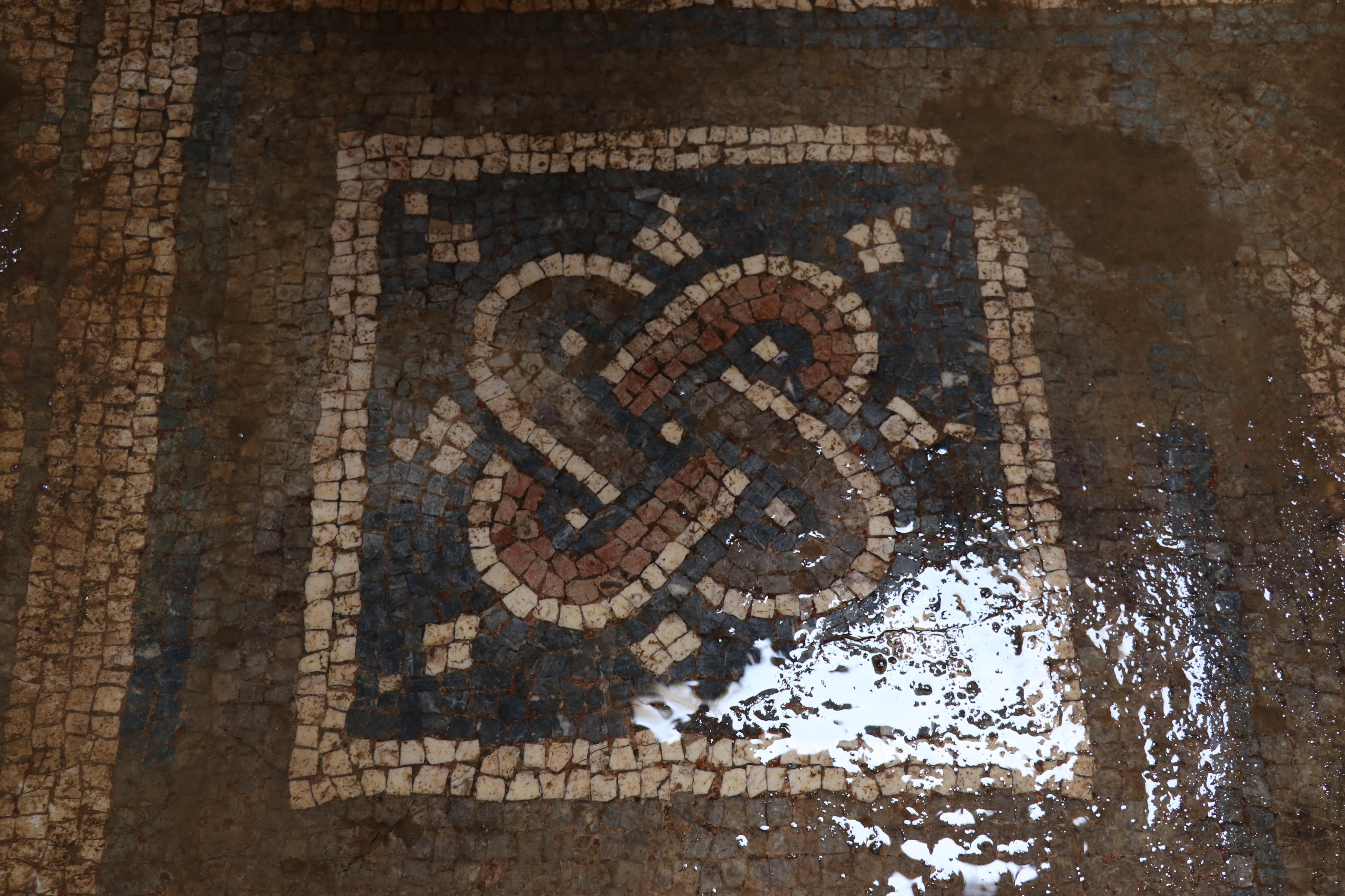 2 bin yıllık kentte yeni mozaikler bulundu