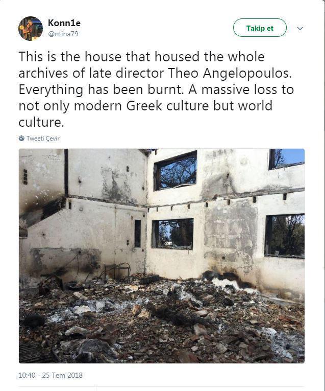 Yunanistandaki yangında ünlü yönetmenin evi de kül oldu