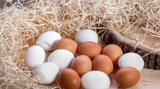 Organik sanıp yanılmayın (Organik yumurta nasıl anlaşılır)
