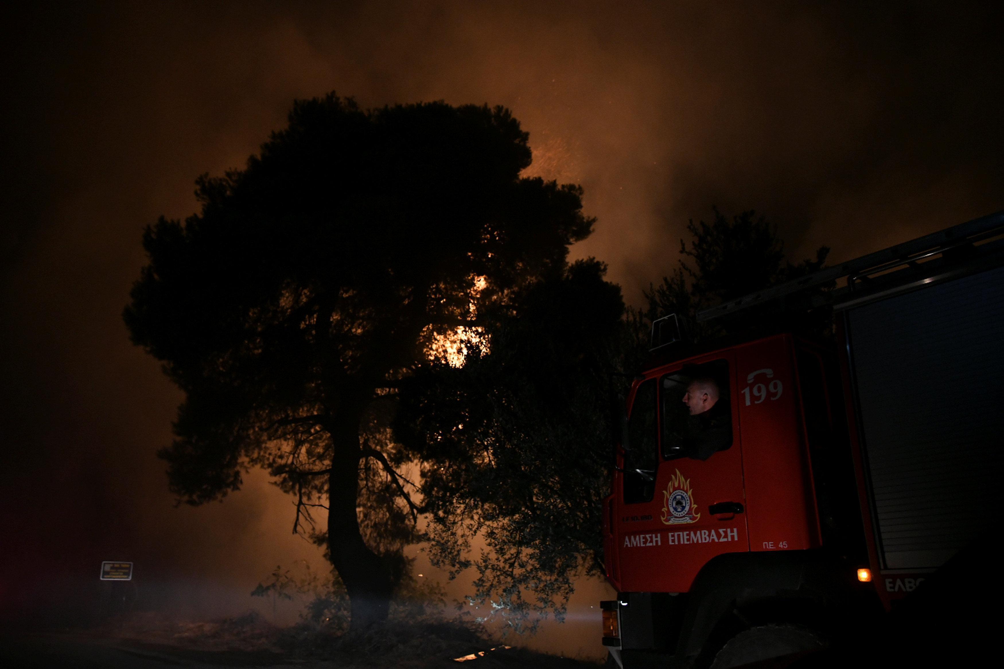 Yunanistanda orman yangını