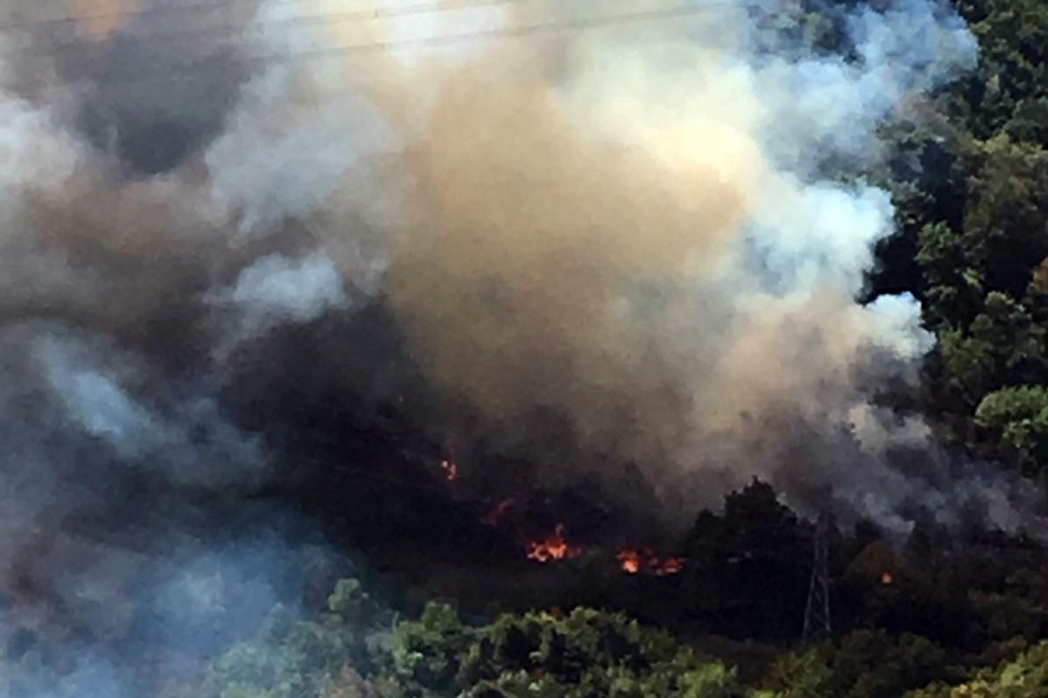 Zonguldakta orman yangını 3 saatte söndürüldü