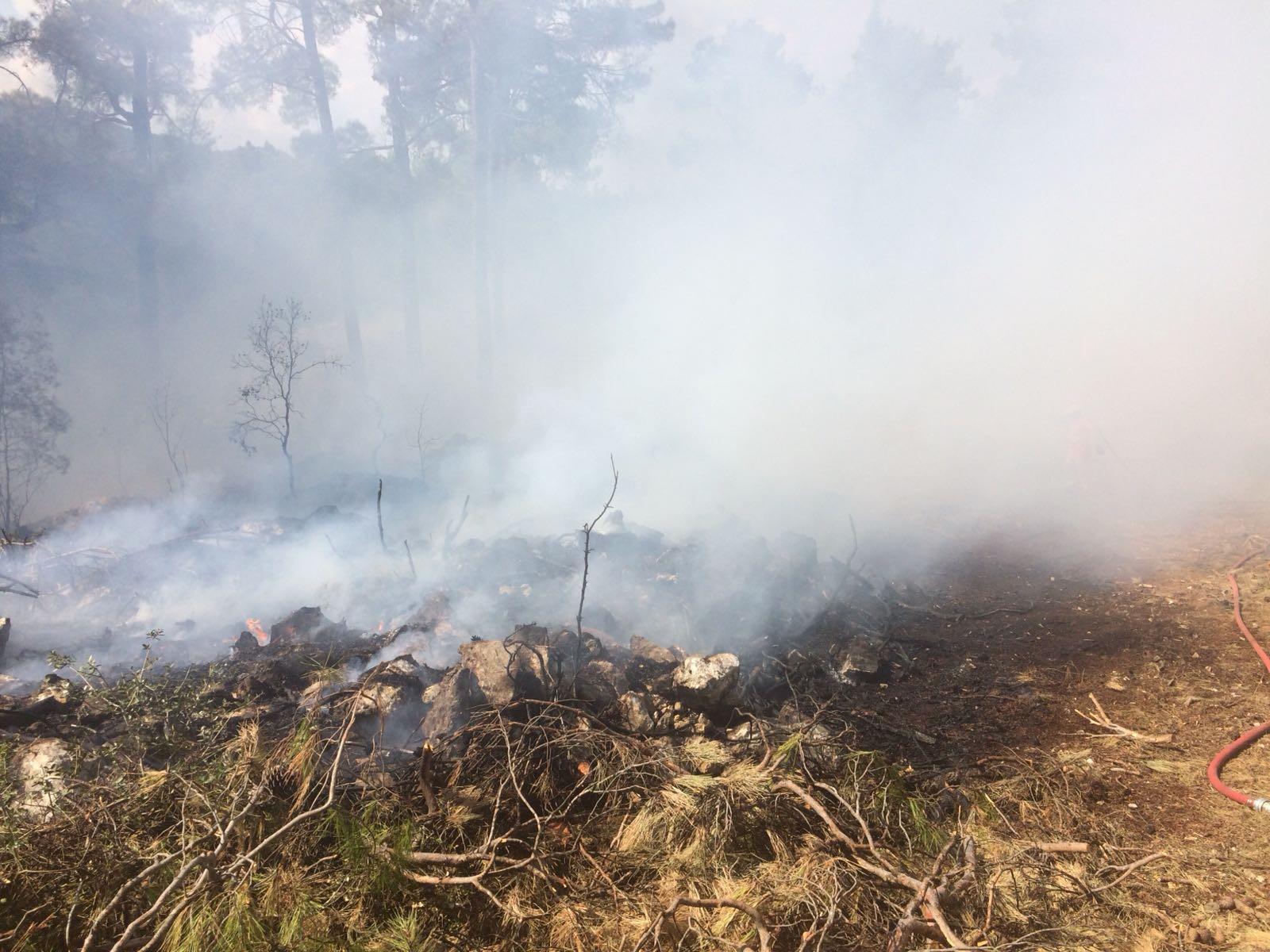 Antalyadaki orman yangını kontrol altına alındı