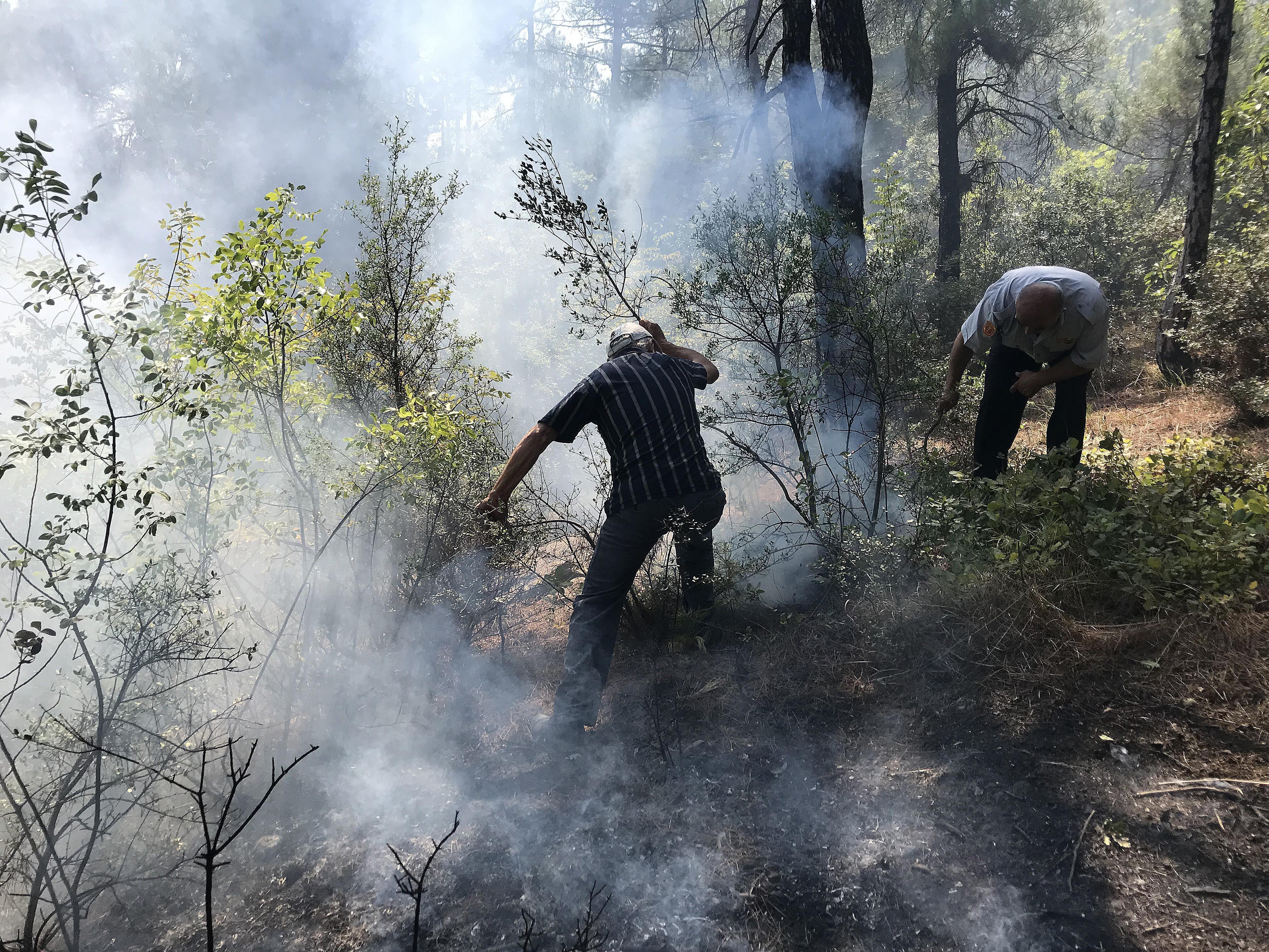 Karabükteki Çamlık Tabiat Parkında yangın