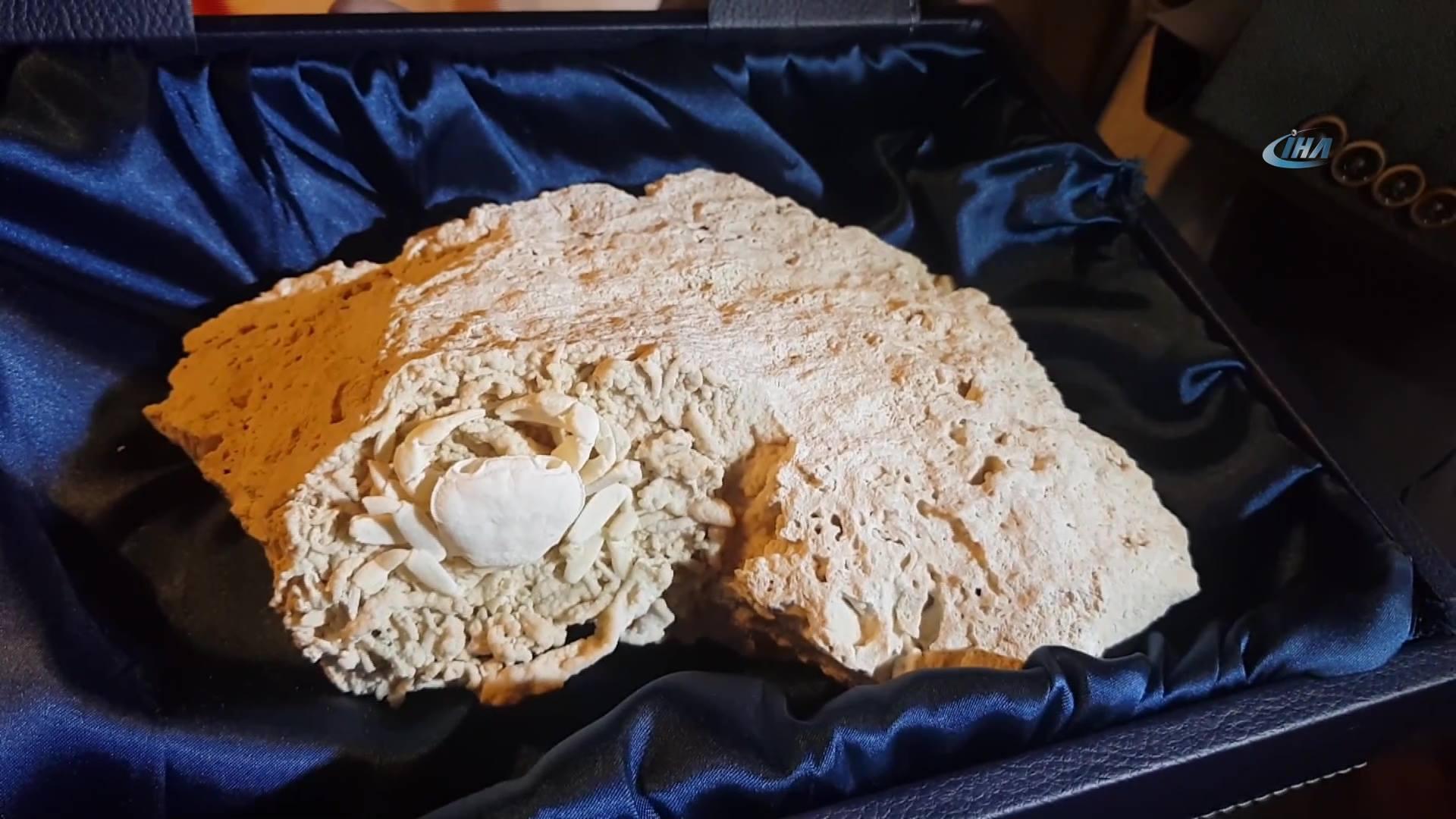 Oğluna düğünde 10 milyon yıllık yengeç fosili taktı
