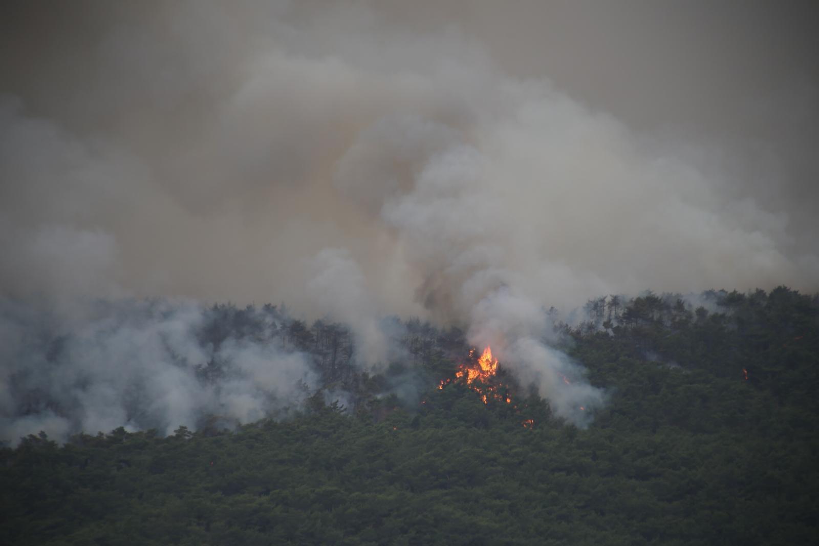 Son dakika... Hataydaki orman yangını yerleşim bölgesini tehdit ediyor