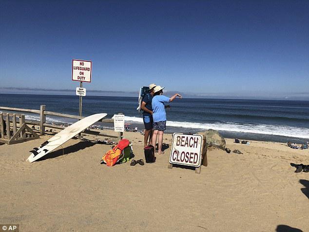 ABD’de köpek balığı sörfçüyü öldürdü