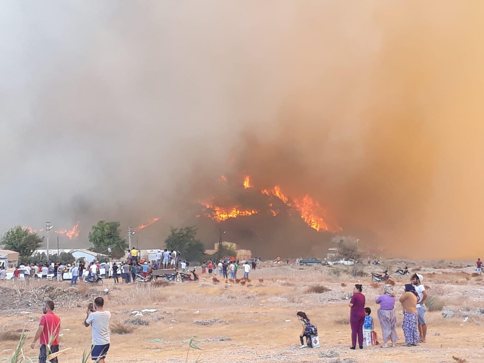 Antalyada orman yangının felaketi fotoğraflara yansıdı