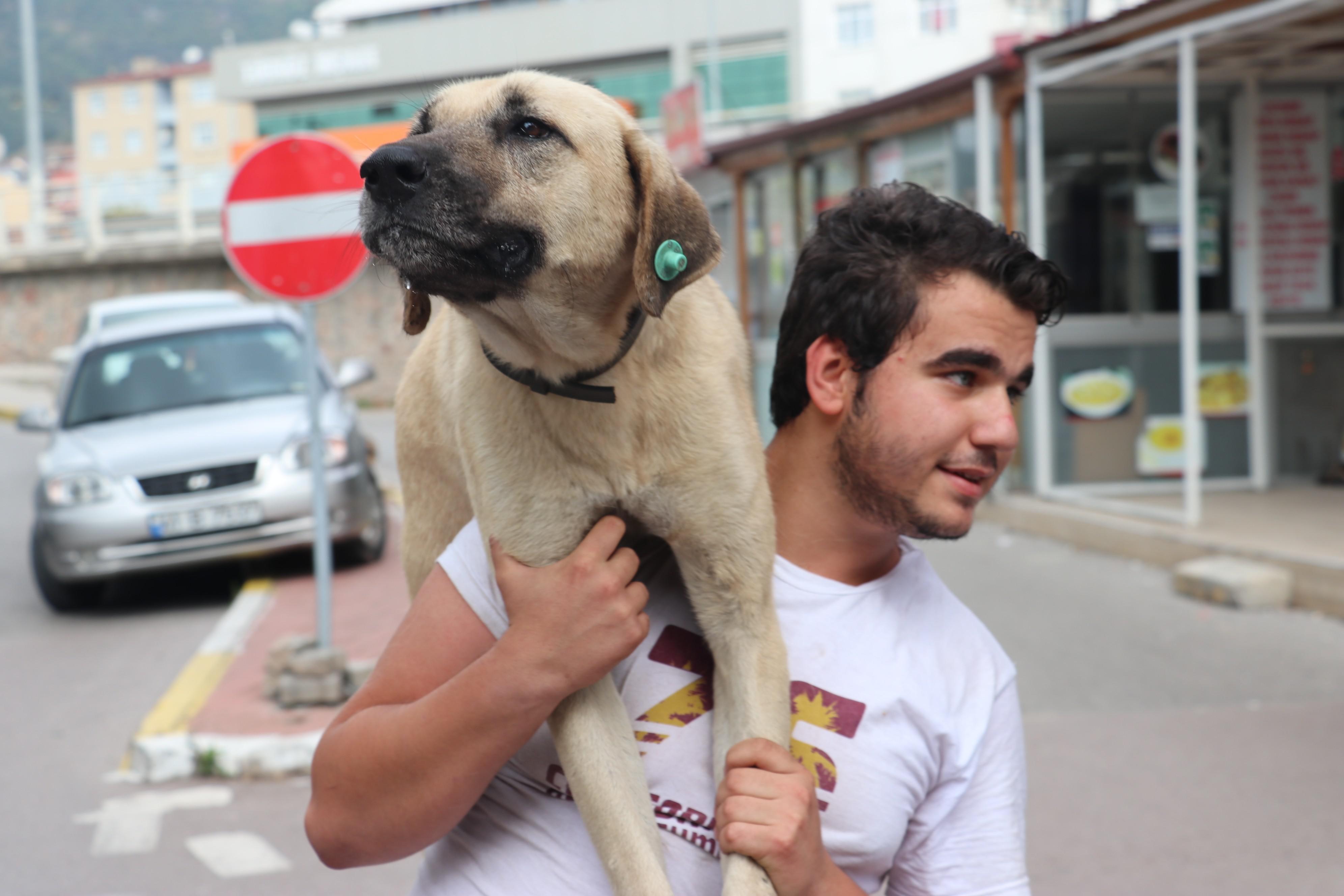 Hasta köpeği tedavi ettirmek için sırtında taşıyan genç konuştu