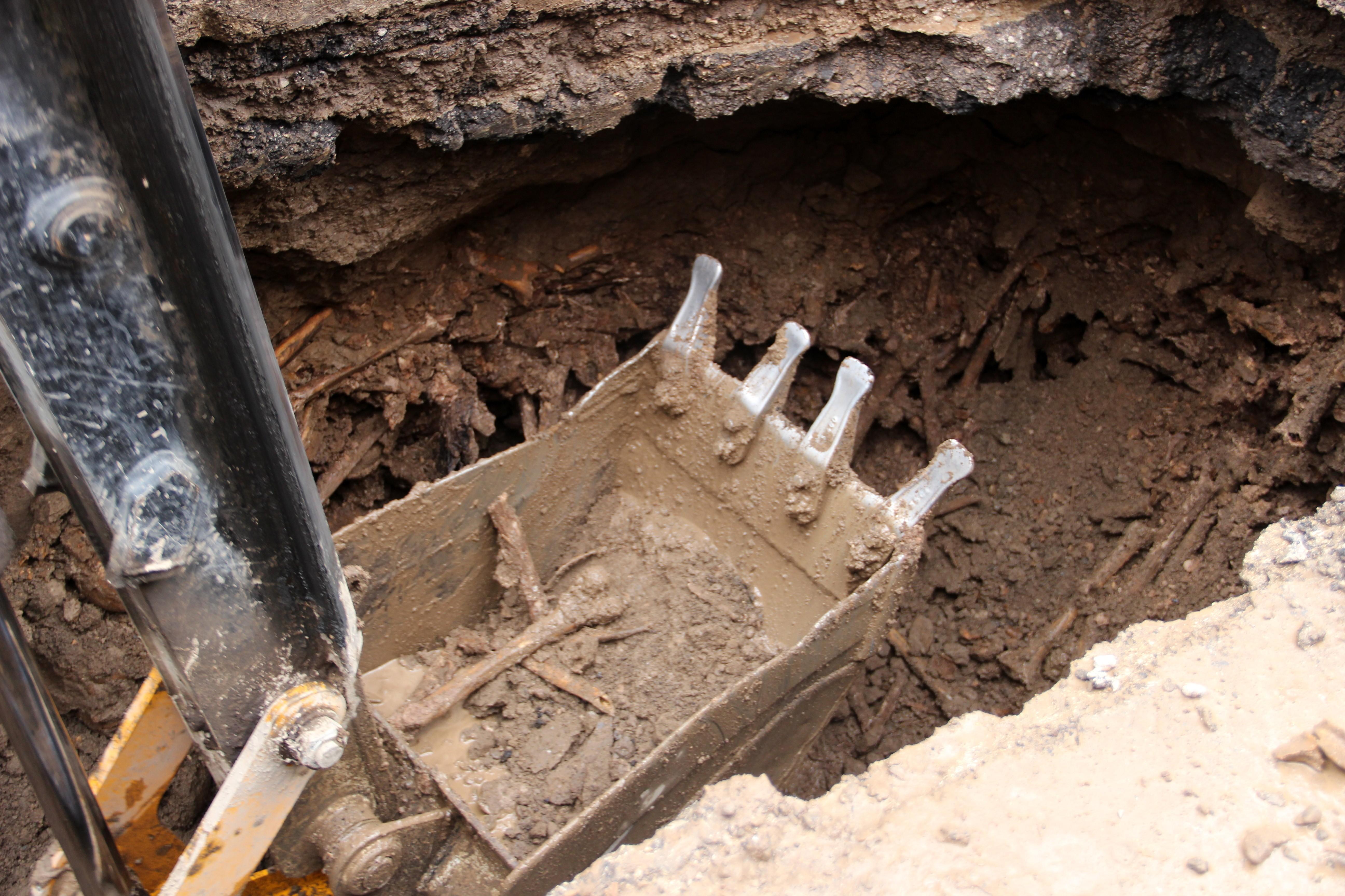 Su şebekesi hattı için kazı yapılırken insan kemikleri bulundu