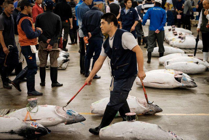 Dünyanın en büyük balık pazarı 83 yıllık mekanına veda ediyor