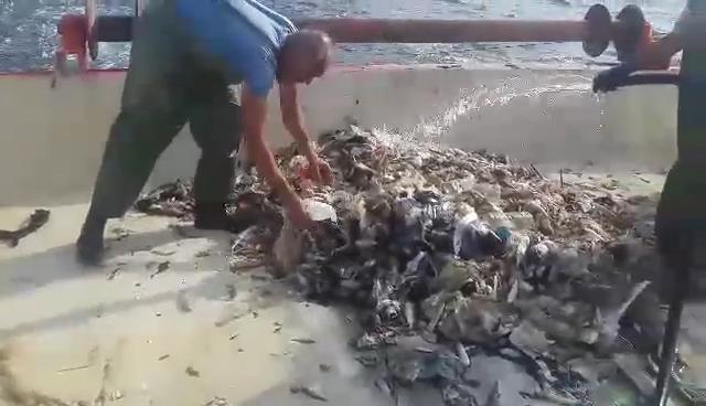 Ağlar balık yerine çöple doluyor