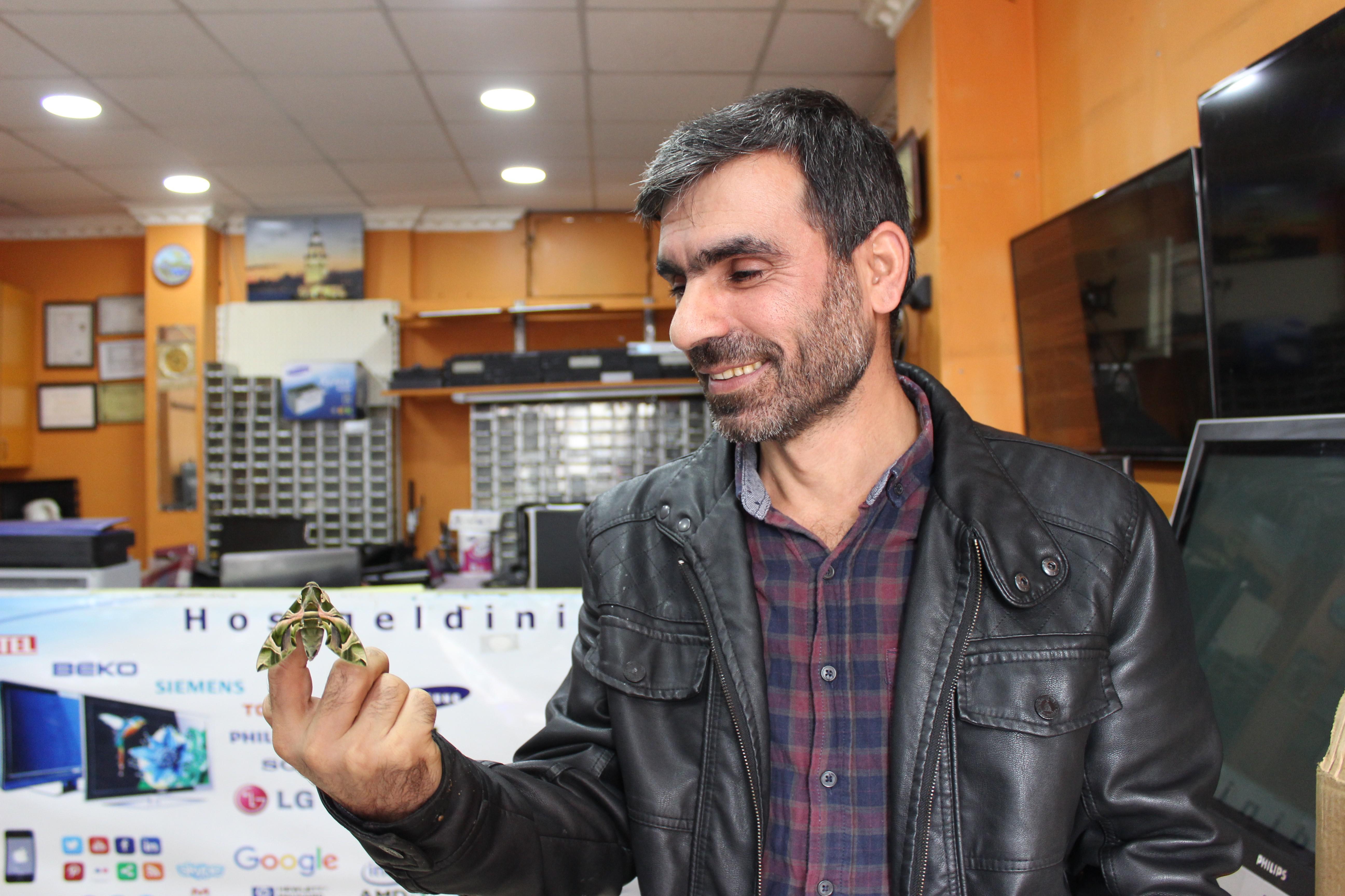 İstanbulda ender rastlanan mekik kelebeği’ bulundu