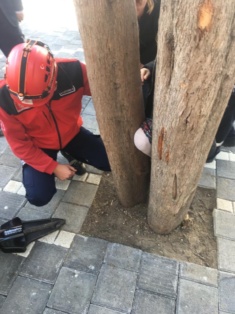 Bacağı ağaca sıkışan kız öğrenciyi itfaiye kurtardı