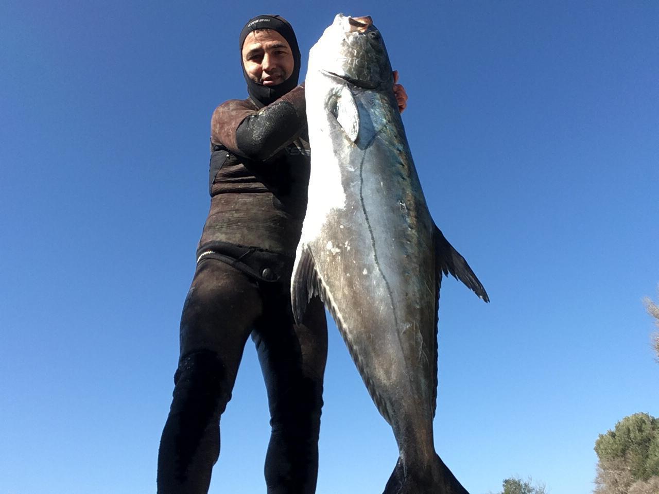 Zıpkınla 40 kiloluk liça balığı avladı