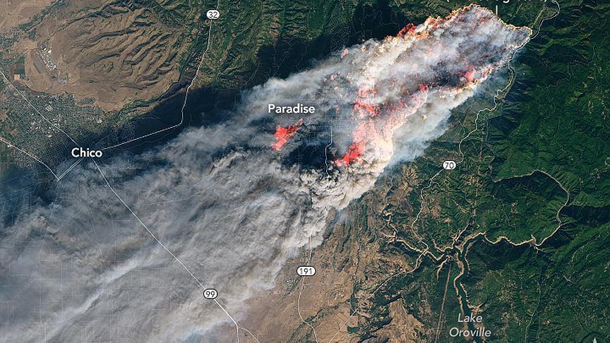 California tarihindeki en büyük orman yangınlarıyla boğuşuyor