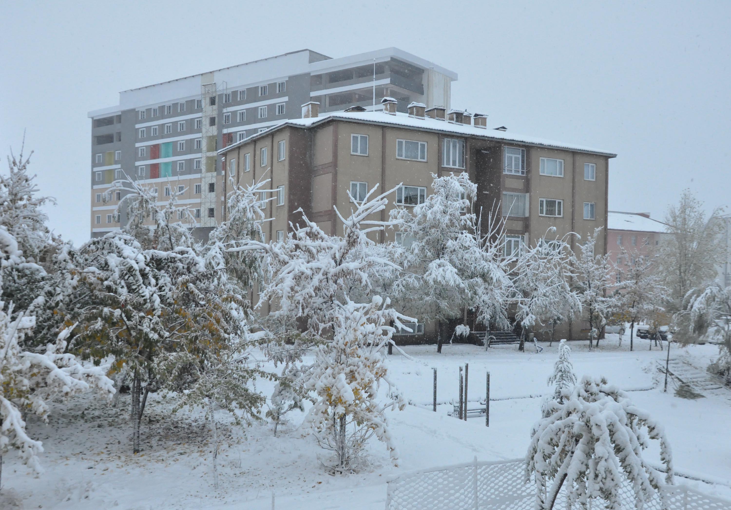 Bitlis kar yağışına teslim oldu