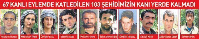 103 şehidin katili 18 PKKlı teröristi eşek arısı öldürdü