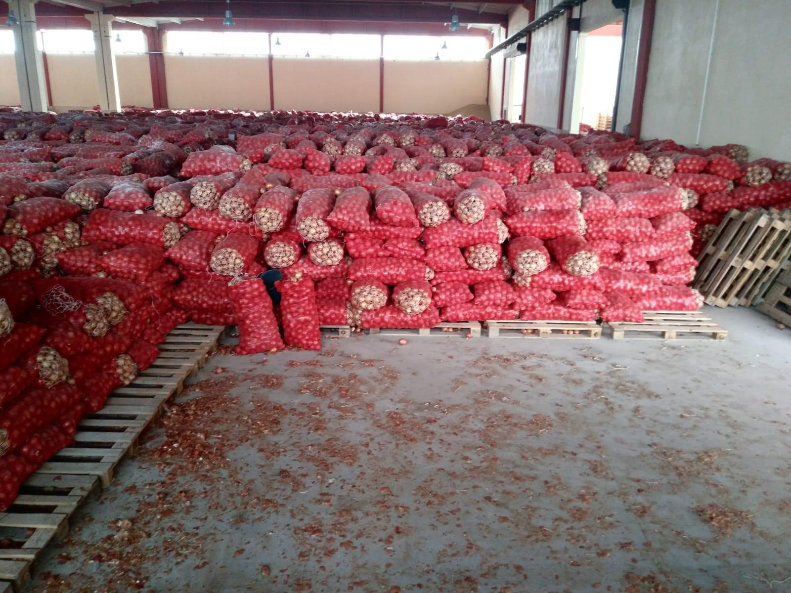 Ankara’da depodan stoklanmış 1300 ton kuru soğan çıktı