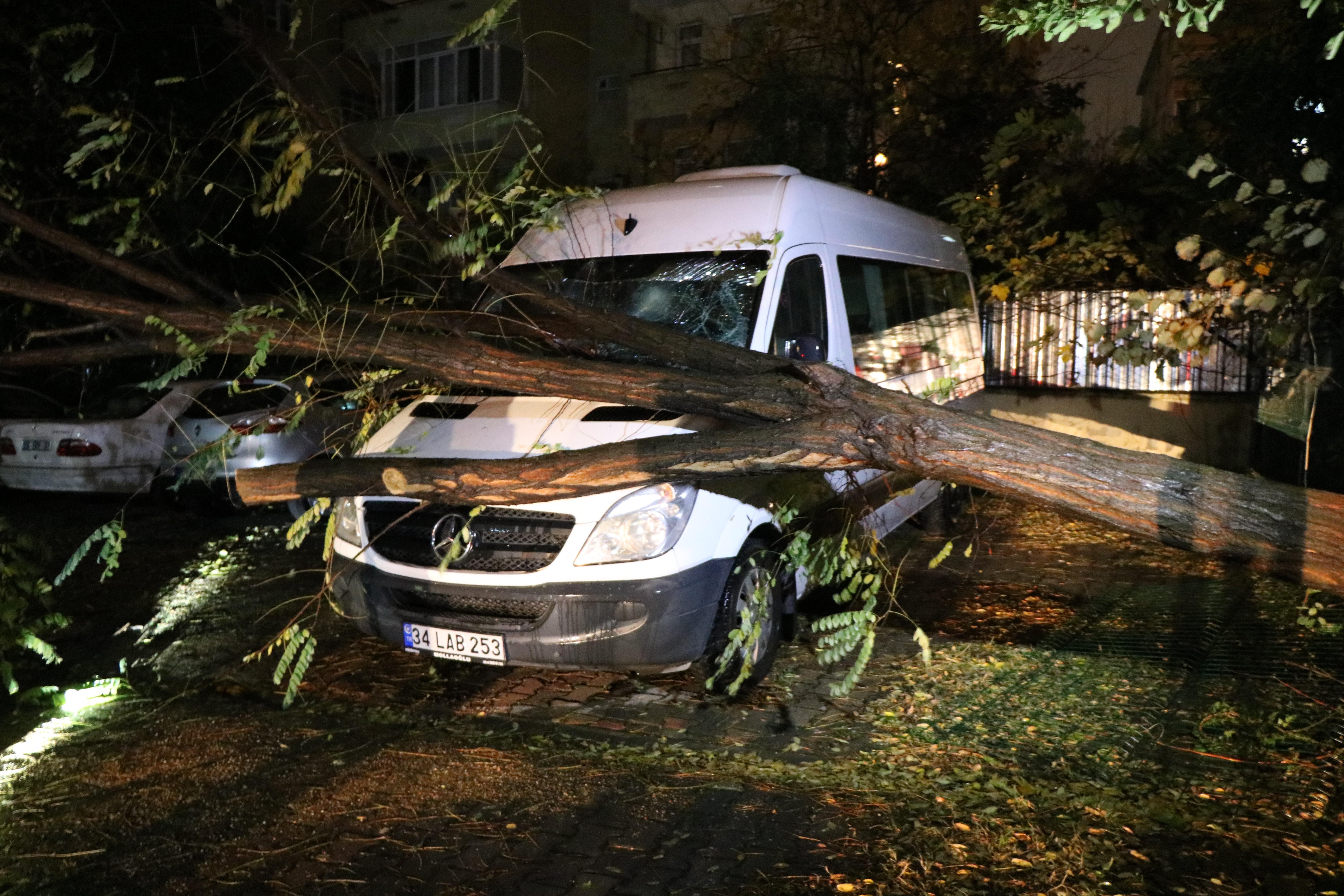 Kadıköyde şiddetli fırtına: Ağaç minibüsün üzerine devrildi
