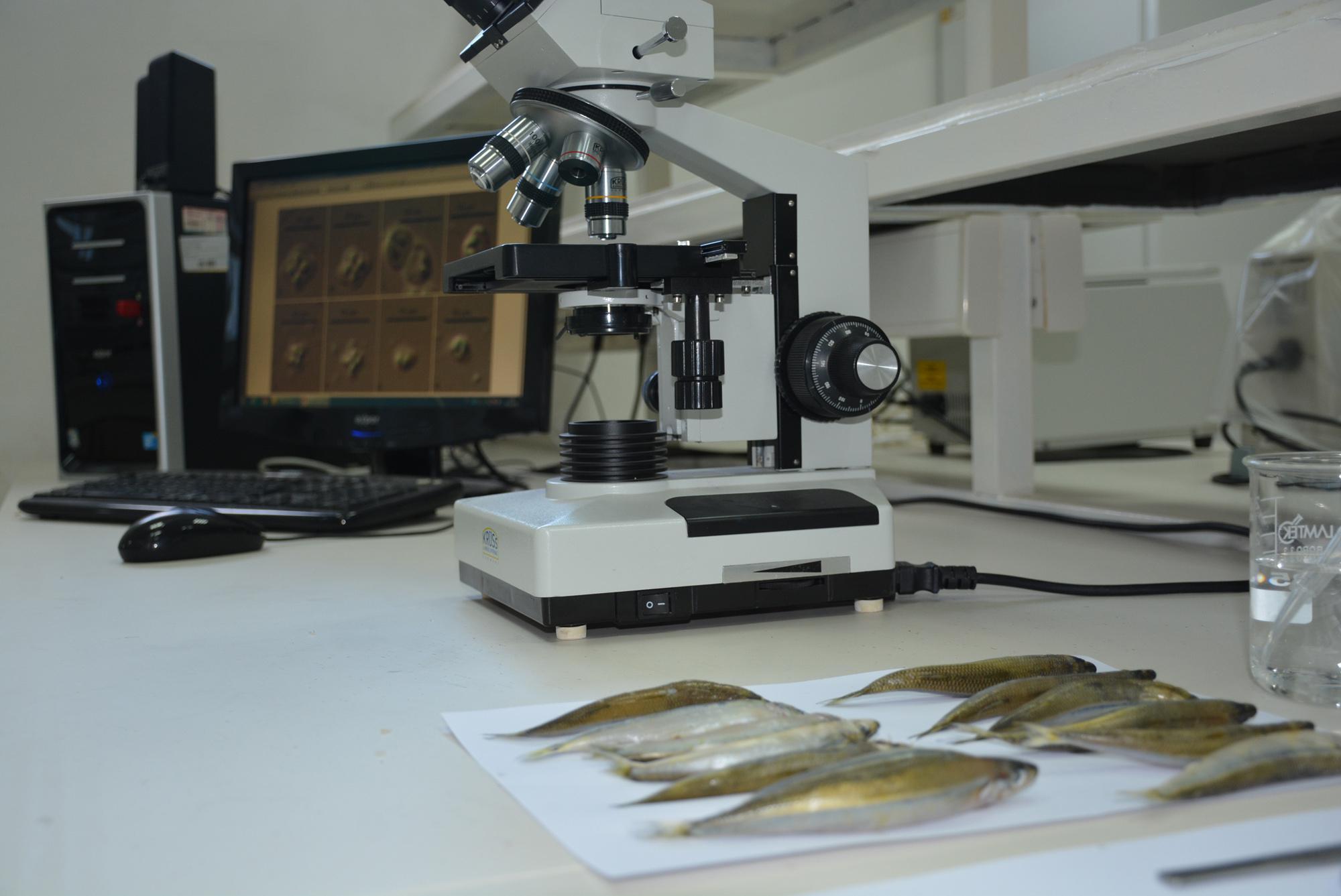Karadenizdeki 2 balık türünde hastalık yapan parazit tespit edildi