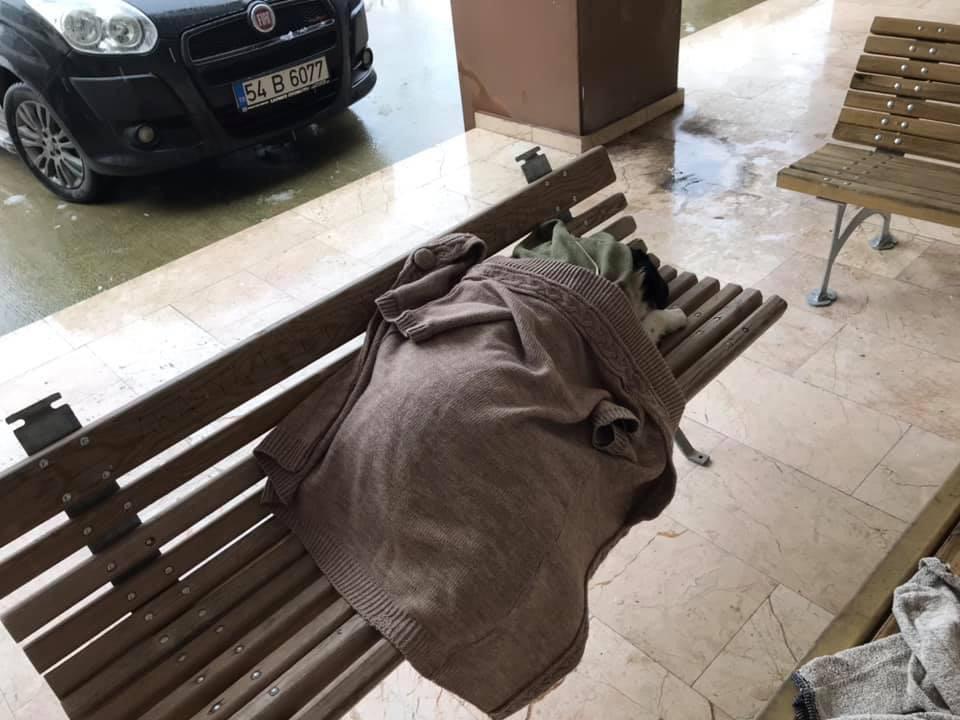 Yürek ısıtan görüntü: Bankta uyuyan köpeğin üzerini hırkalarıyla örttüler