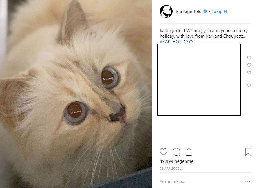 Karl Lagerfeldin kedisi sahipsiz kaldı