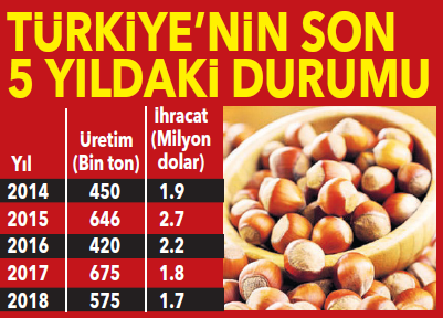 Fındığın tahtı sallanıyor Türkiyenin payı yüzde 65e geriledi