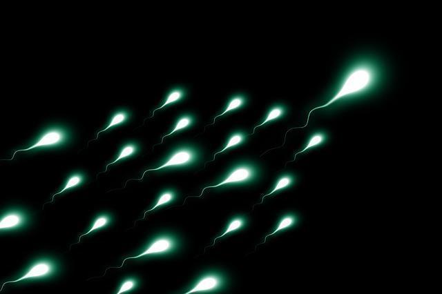 Sperm sayıları son 30 yılda yüzde 39 azaldı (Sperm sayısı neden düşer)