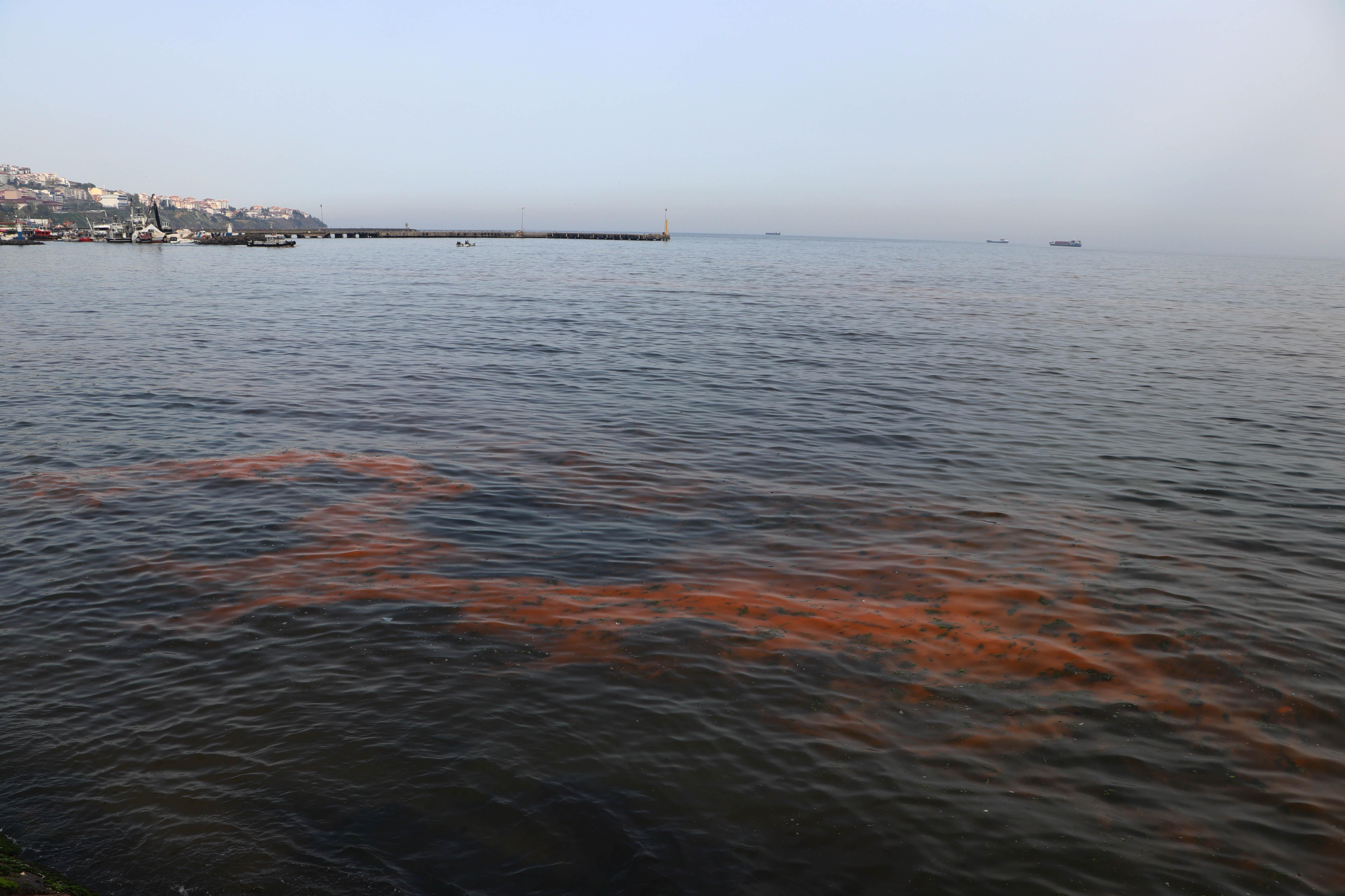 Marmara Denizi turuncuya büründü İşte nedeni