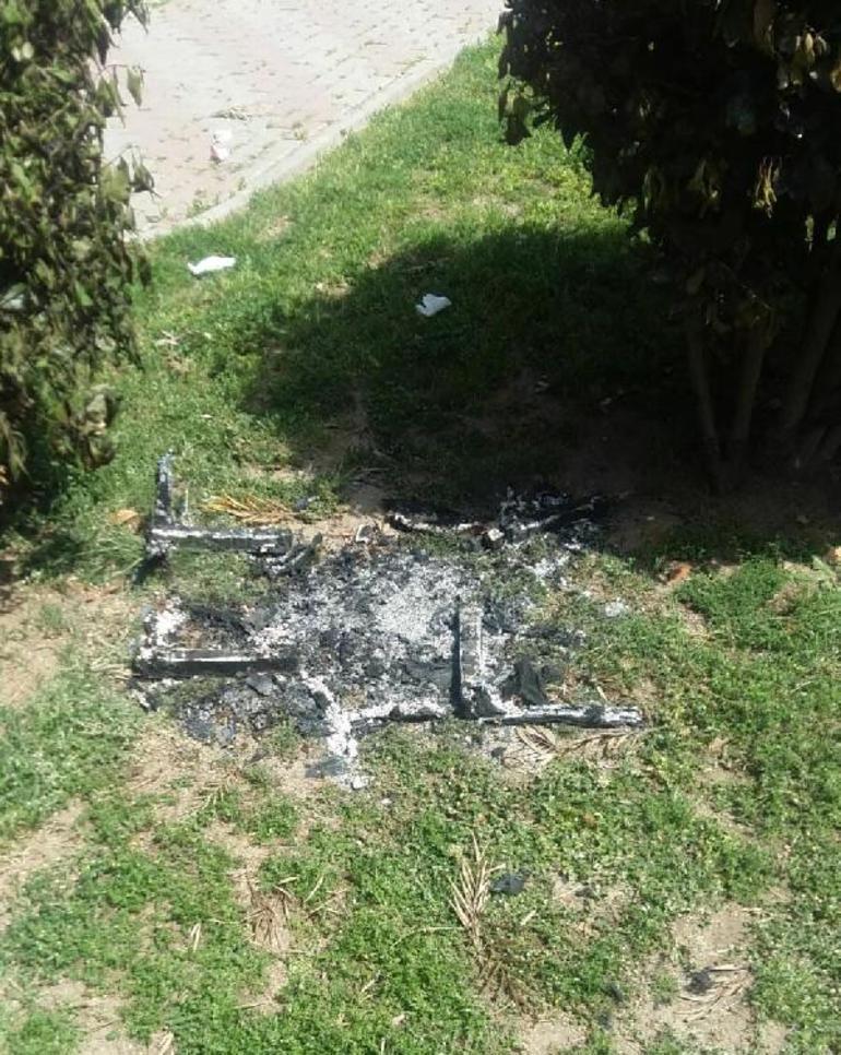 İzmirde parkta vahşet Kediyi diri diri yaktılar...