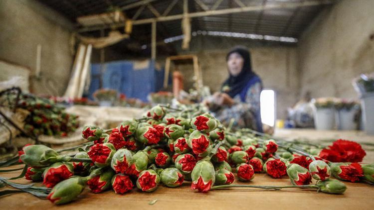 Anneler Günü için 39 ülkeye 45 milyon dal çiçek satıldı