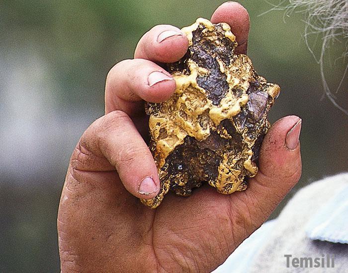Dedektörle 1,4 kilo altın buldu