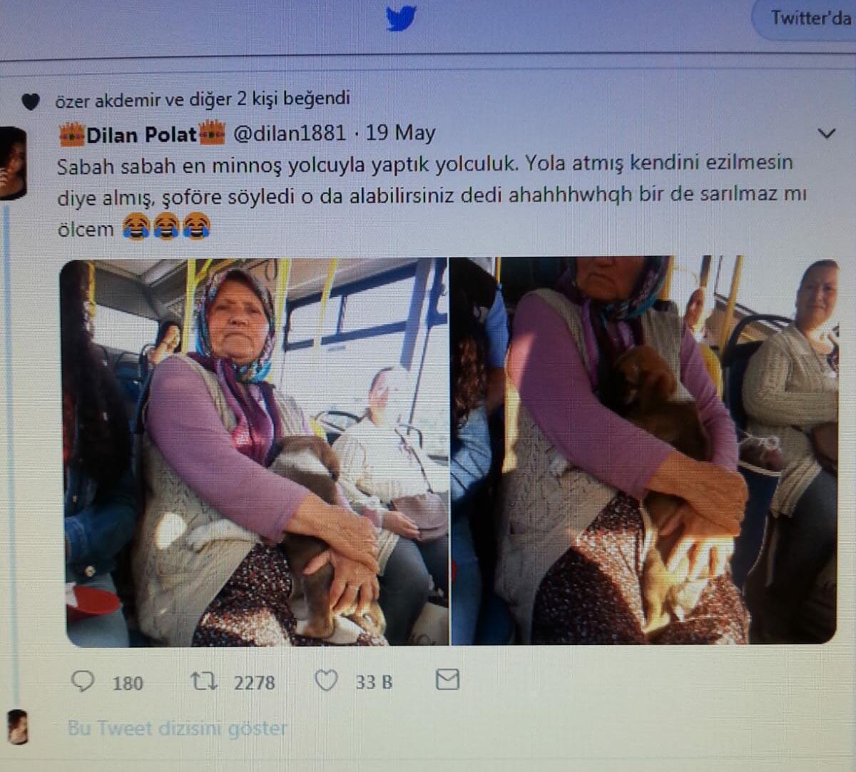 Yavru köpekle otobüse bindi, sosyal medyada gündem oldu