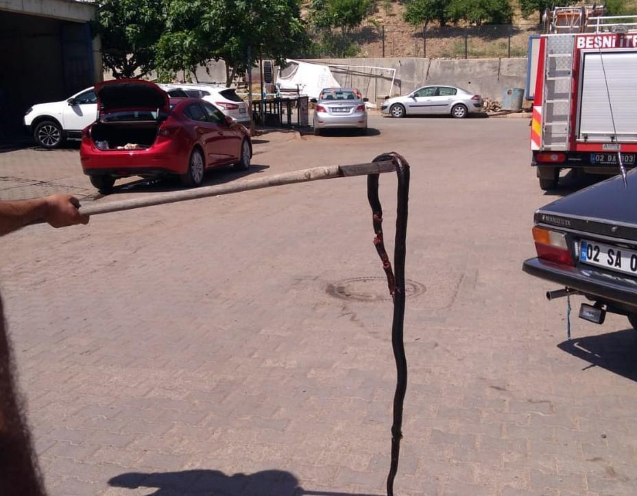 2 metrelik yılan otomobilin motoruna girdi